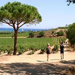 In Gassin Near Tropez Beaches *