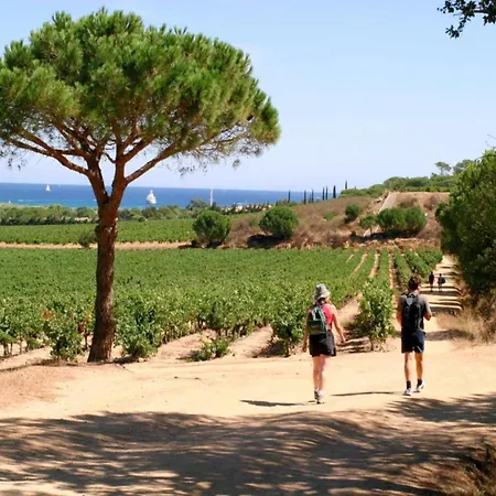 In Gassin Near Tropez Beaches *