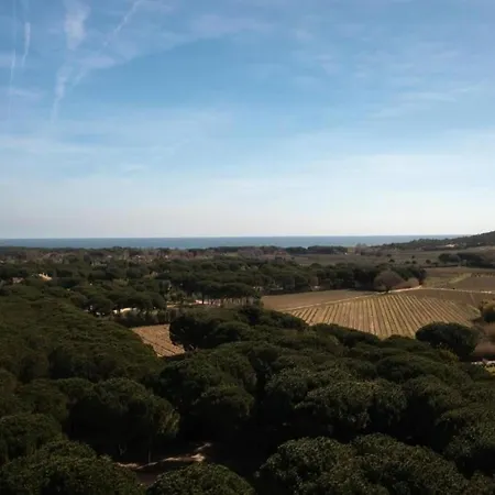 In Gassin Near Tropez Beaches * 쎙뜨호뻬